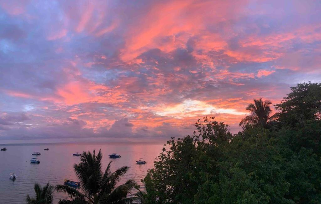 Hotel Diamond Plaza Grand Anse  Exteriér fotografie